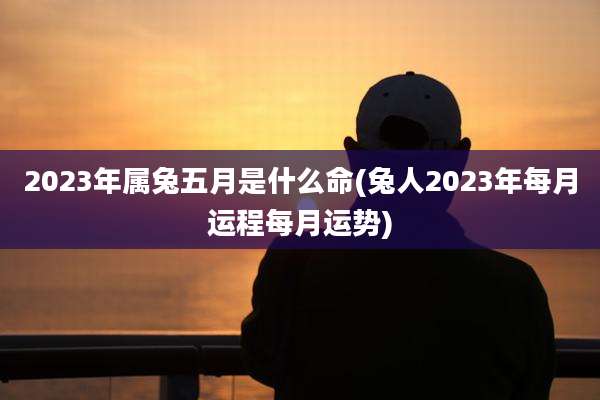 2023年属兔五月是什么命(兔人2023年每月运程每月运势)