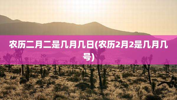 农历二月二是几月几日(农历2月2是几月几号)
