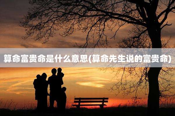 算命富贵命是什么意思(算命先生说的富贵命)