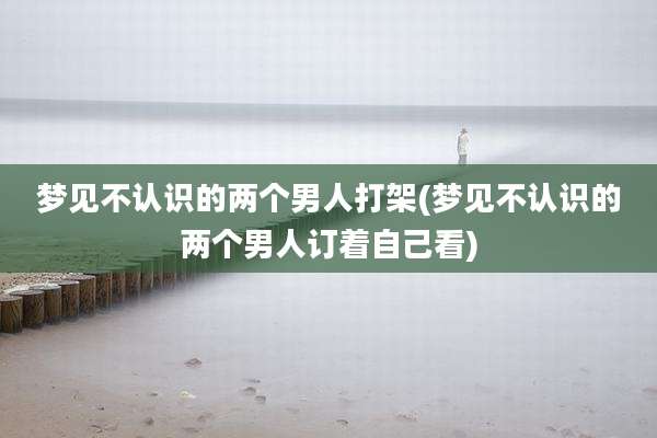 梦见不认识的两个男人打架(梦见不认识的两个男人订着自己看)
