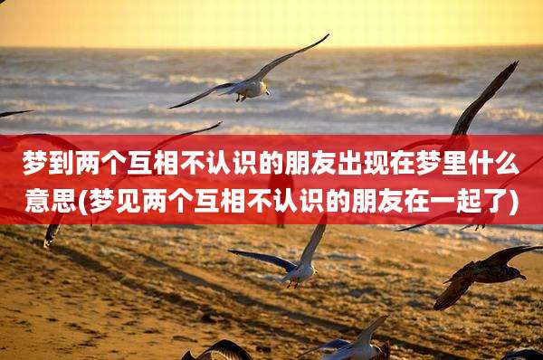 梦到两个互相不认识的朋友出现在梦里什么意思(梦见两个互相不认识的朋友在一起了)