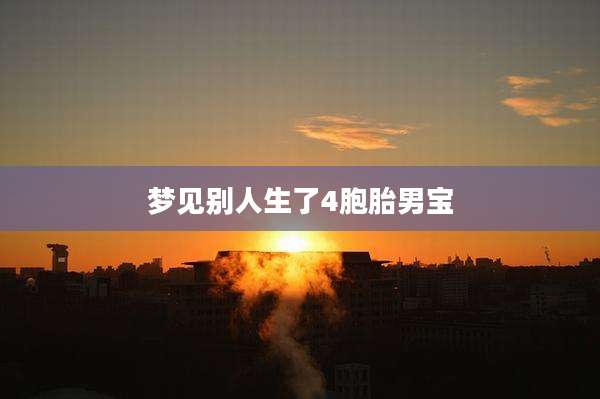 梦见别人生了4胞胎男宝