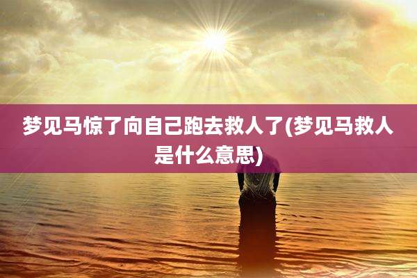 梦见马惊了向自己跑去救人了(梦见马救人是什么意思)