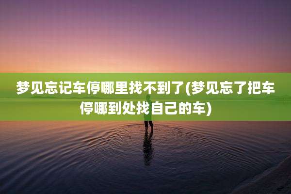梦见忘记车停哪里找不到了(梦见忘了把车停哪到处找自己的车)