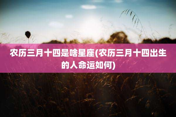 农历三月十四是啥星座(农历三月十四出生的人命运如何)