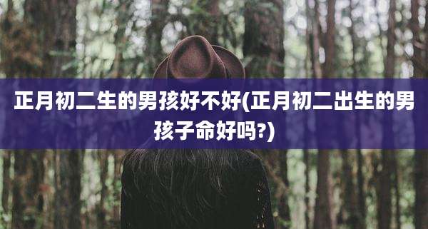正月初二生的男孩好不好(正月初二出生的男孩子命好吗?)