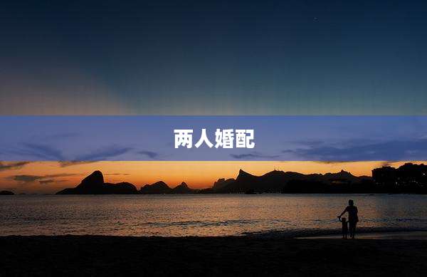 两人婚配