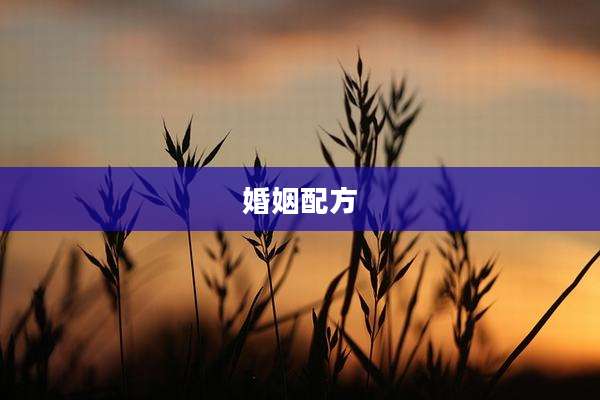 婚姻配方