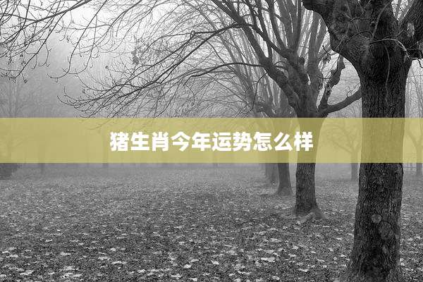 猪生肖今年运势怎么样