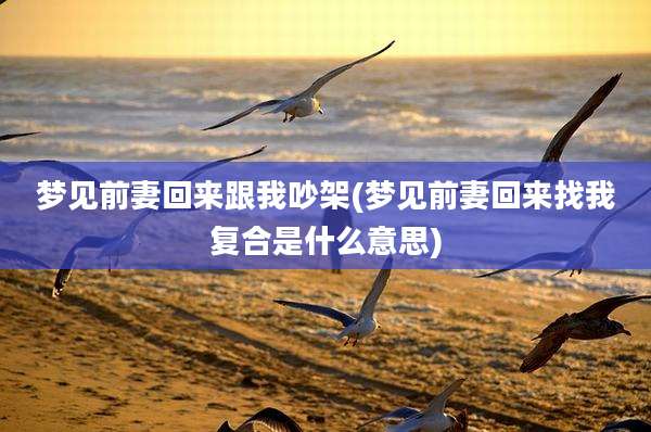 梦见前妻回来跟我吵架(梦见前妻回来找我复合是什么意思)