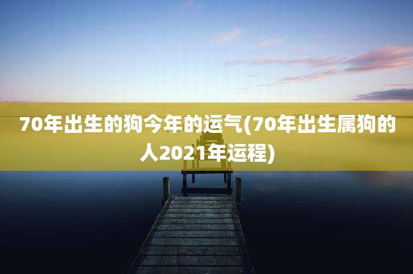 70年出生的狗今年的运气(70年出生属狗的人2021年运程)