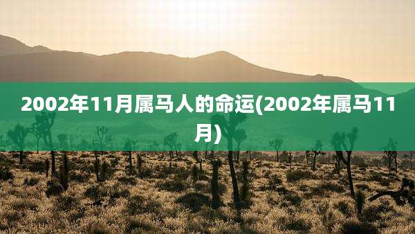 2002年11月属马人的命运(2002年属马11月)