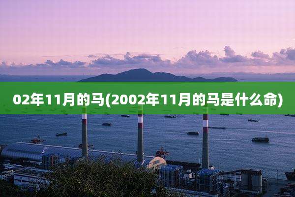 02年11月的马(2002年11月的马是什么命)