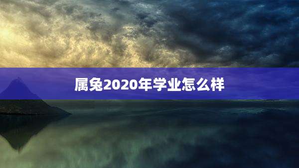 属兔2020年学业怎么样