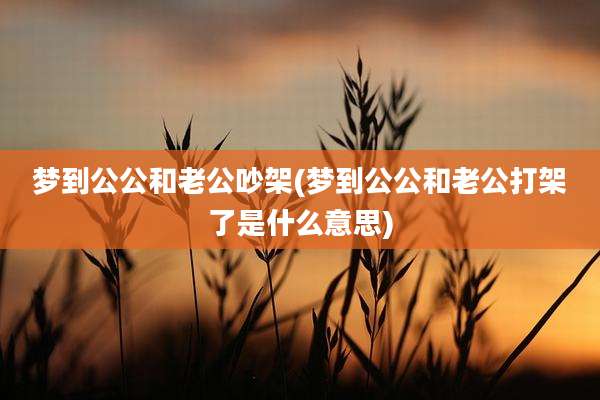 梦到公公和老公吵架(梦到公公和老公打架了是什么意思)