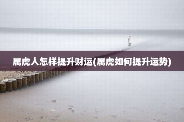 属虎人怎样提升财运(属虎如何提升运势)