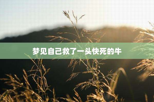 梦见自己救了一头快死的牛