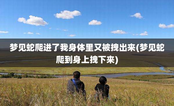 梦见蛇爬进了我身体里又被拽出来(梦见蛇爬到身上拽下来)