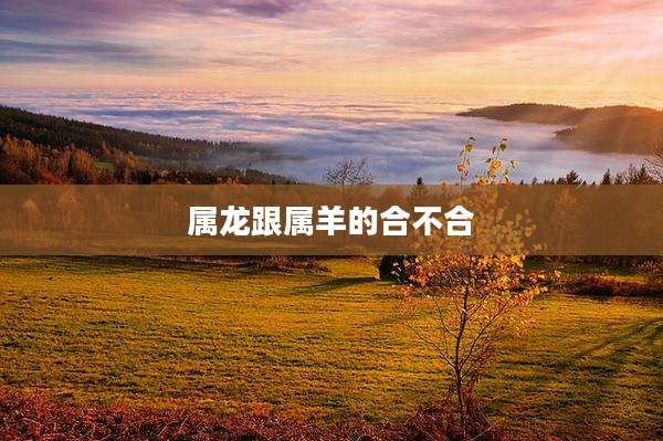 属龙跟属羊的合不合