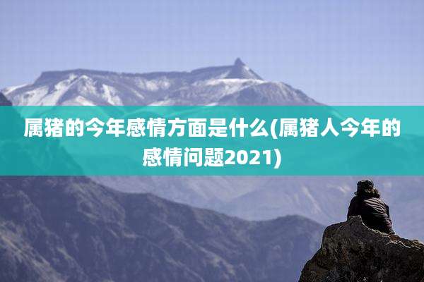 属猪的今年感情方面是什么(属猪人今年的感情问题2021)