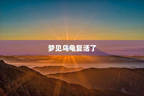 梦见乌龟复活了