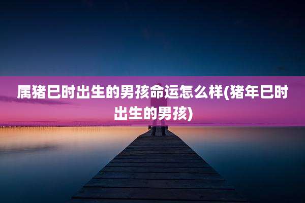属猪巳时出生的男孩命运怎么样(猪年巳时出生的男孩)