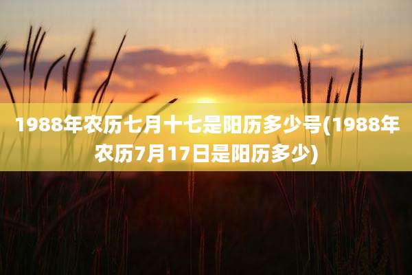 1988年农历七月十七是阳历多少号(1988年农历7月17日是阳历多少)
