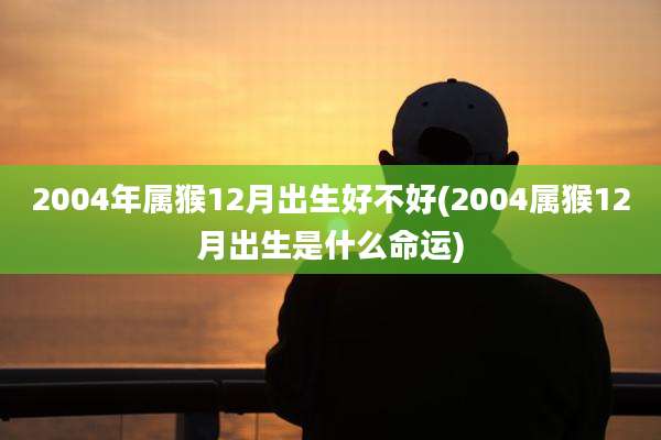 2004年属猴12月出生好不好(2004属猴12月出生是什么命运)