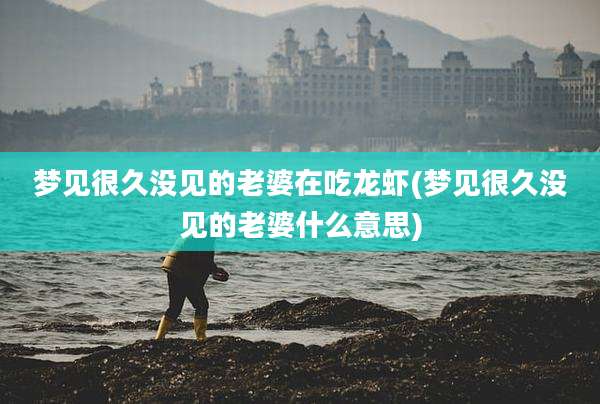 梦见很久没见的老婆在吃龙虾(梦见很久没见的老婆什么意思)
