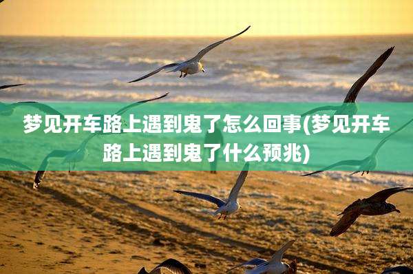 梦见开车路上遇到鬼了怎么回事(梦见开车路上遇到鬼了什么预兆)