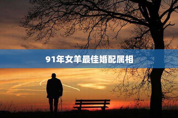 91年女羊最佳婚配属相