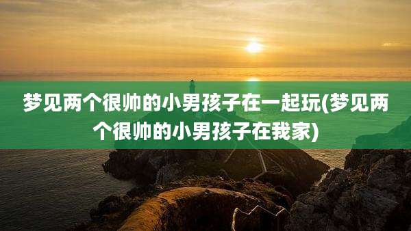 梦见两个很帅的小男孩子在一起玩(梦见两个很帅的小男孩子在我家)