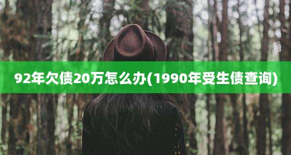 92年欠债20万怎么办(1990年受生债查询)