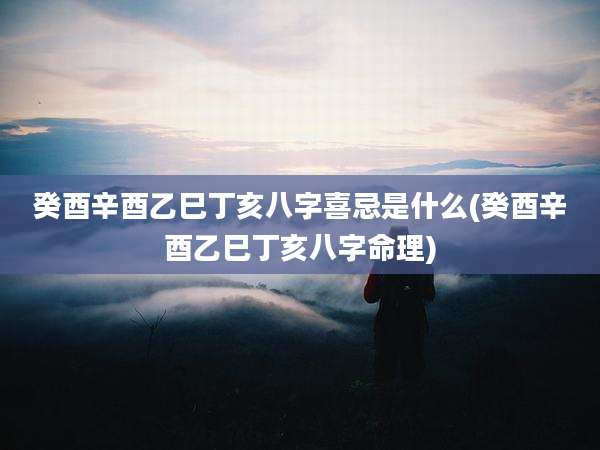 癸酉辛酉乙巳丁亥八字喜忌是什么(癸酉辛酉乙巳丁亥八字命理)