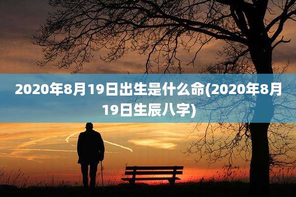 2020年8月19日出生是什么命(2020年8月19日生辰八字)