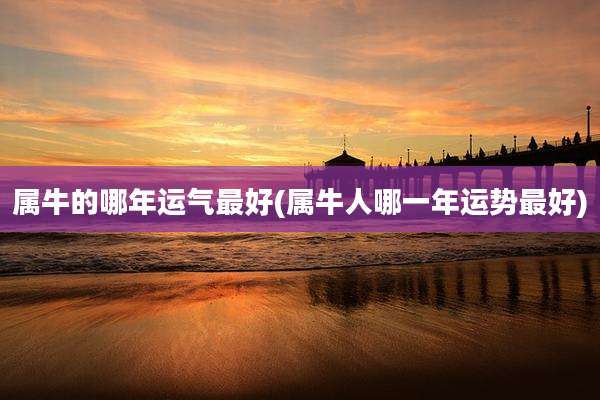 属牛的哪年运气最好(属牛人哪一年运势最好)