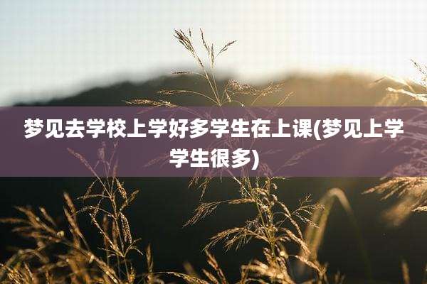 梦见去学校上学好多学生在上课(梦见上学学生很多)
