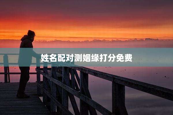 姓名配对测姻缘打分免费