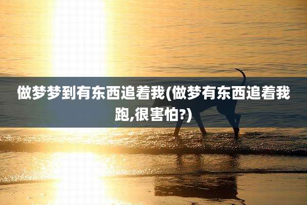 做梦梦到有东西追着我(做梦有东西追着我跑,很害怕?)