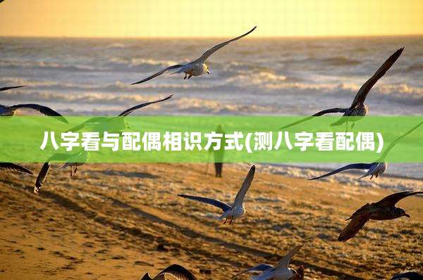 八字看与配偶相识方式(测八字看配偶)