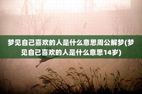 梦见自己喜欢的人是什么意思周公解梦(梦见自己喜欢的人是什么意思14岁)