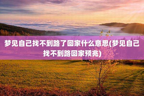 梦见自己找不到路了回家什么意思(梦见自己找不到路回家预兆)
