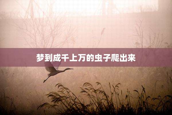 梦到成千上万的虫子爬出来