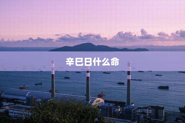 辛巳日什么命