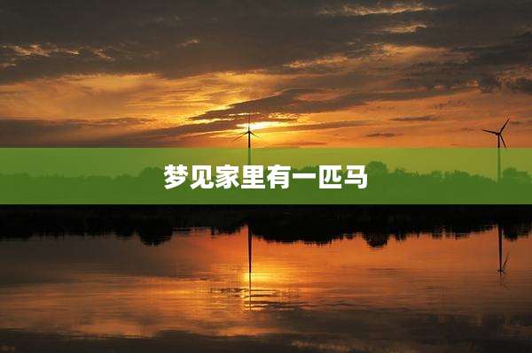 梦见家里有一匹马