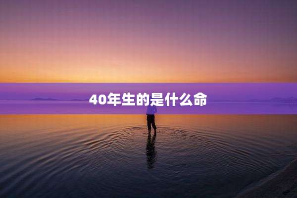 40年生的是什么命