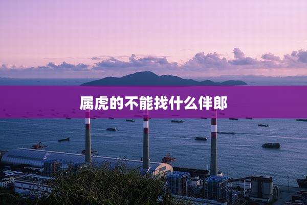 属虎的不能找什么伴郎