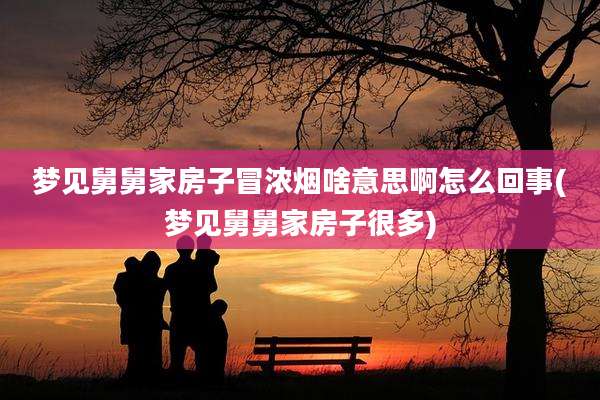 梦见舅舅家房子冒浓烟啥意思啊怎么回事(梦见舅舅家房子很多)