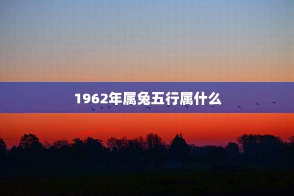 1962年属兔五行属什么