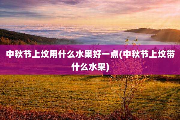 中秋节上坟用什么水果好一点(中秋节上坟带什么水果)